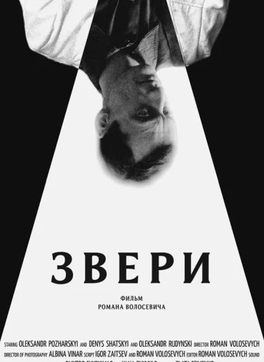Звери