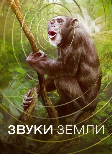 Звуки Земли