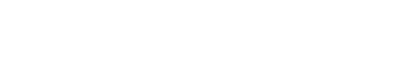 13 жизней