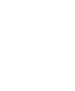 30, но 17