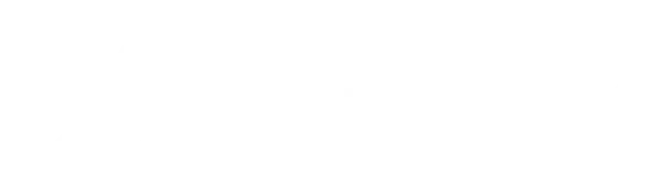 56 дней