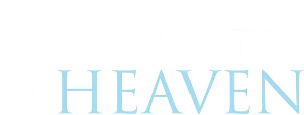 90 минут на небесах