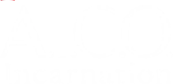A.I.C.O. Воплощение