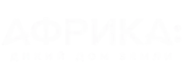 Африка: Дикий дом Земли