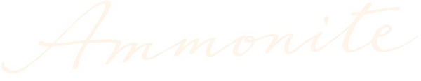 Аммонит