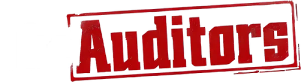 Аудиторы