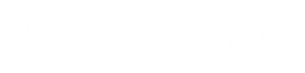 Большие кошки днём и ночью