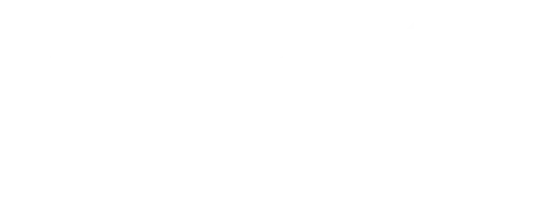 Дневник будущего