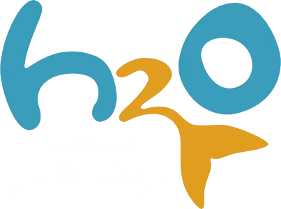 H2O: Просто добавь воды