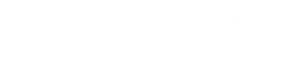 Камера 211