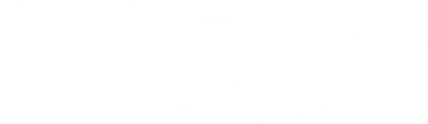 Король шоппинга Луи