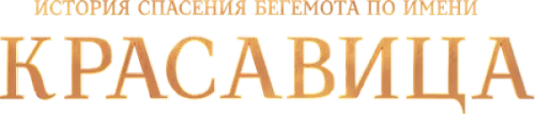 Красавица