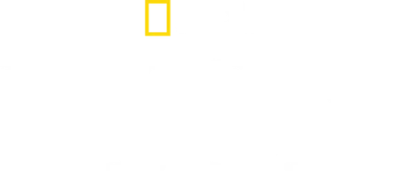 Лев