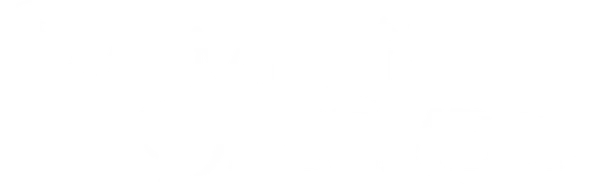 Мы встретились в декабре