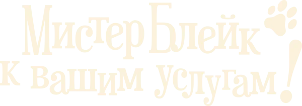 Мистер Блейк к вашим услугам!