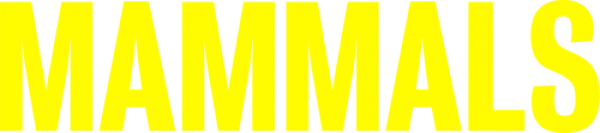 Млекопитающие