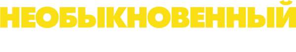 Необыкновенный плейлист Зои