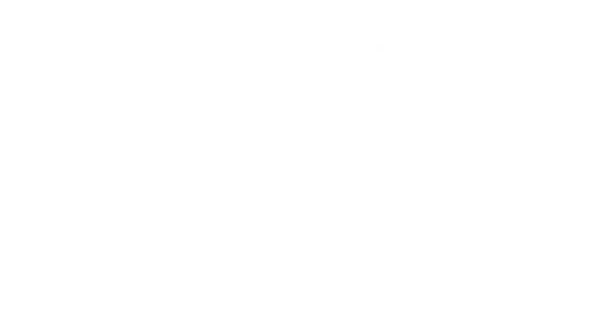 Ответственная гражданка
