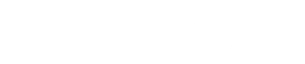 Партизанка