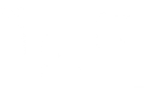 Педро Дом