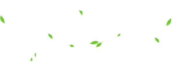 Причина полюбить её