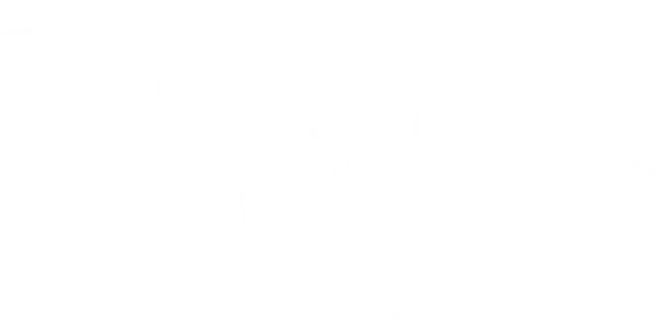 Птица