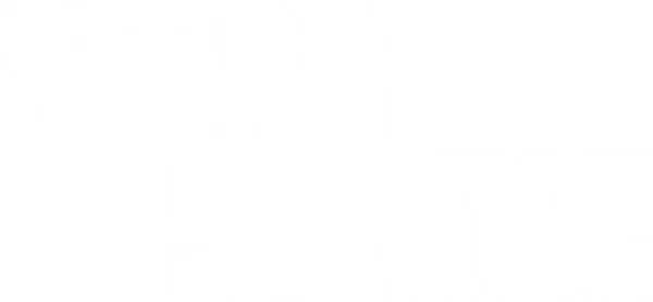 Секретная служба