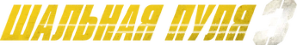 Шальная пуля 3