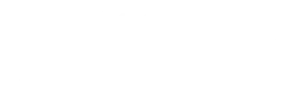 Шпионка
