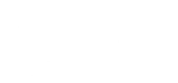 Слуга, или правдивая история Бан-чжа