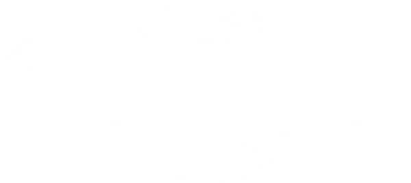 Смешарики снимают кино