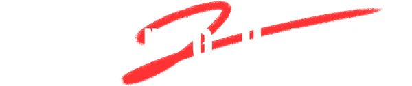 Сторонник 2