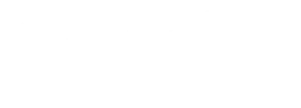 Супруги Морган в бегах