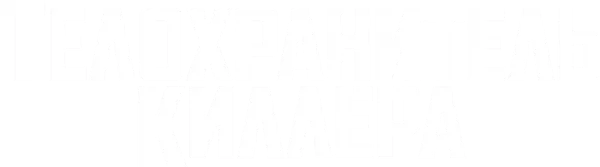 Телохранитель киллера