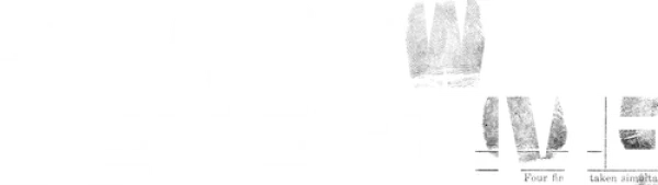 Теневой детектив