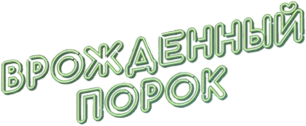 Врождённый порок