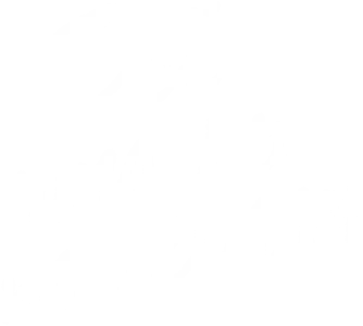 Всё, что мы потеряли