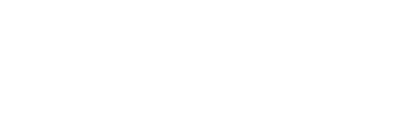 Женщины в синем